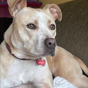 Meet your Posher, Kenzie